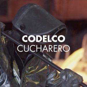 https://player.vimeo.com/video/156843576