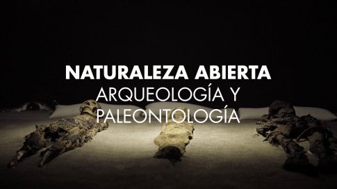 https://player.vimeo.com/video/281636388