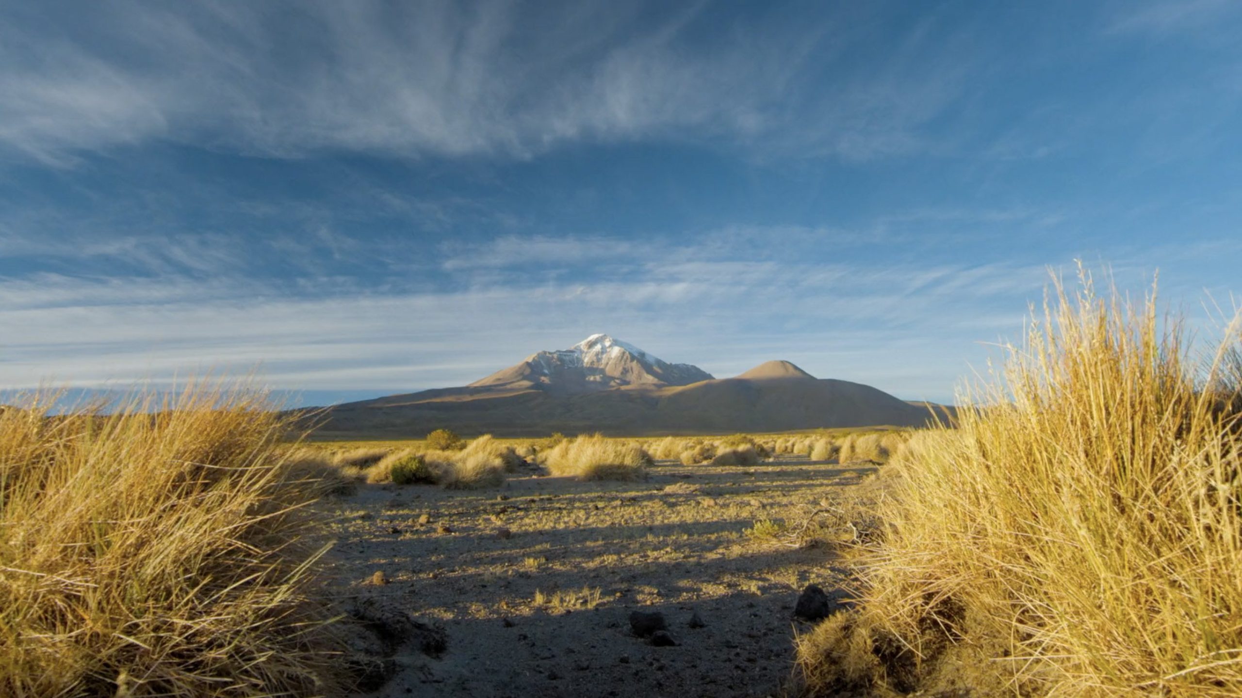 Pic find your chile 2