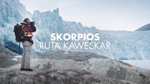 https://vimeo.com/305753636