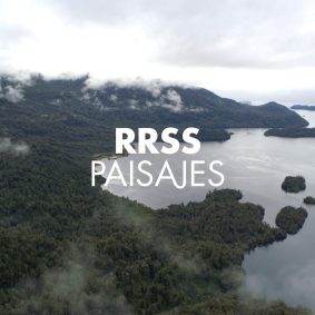 https://vimeo.com/305749988