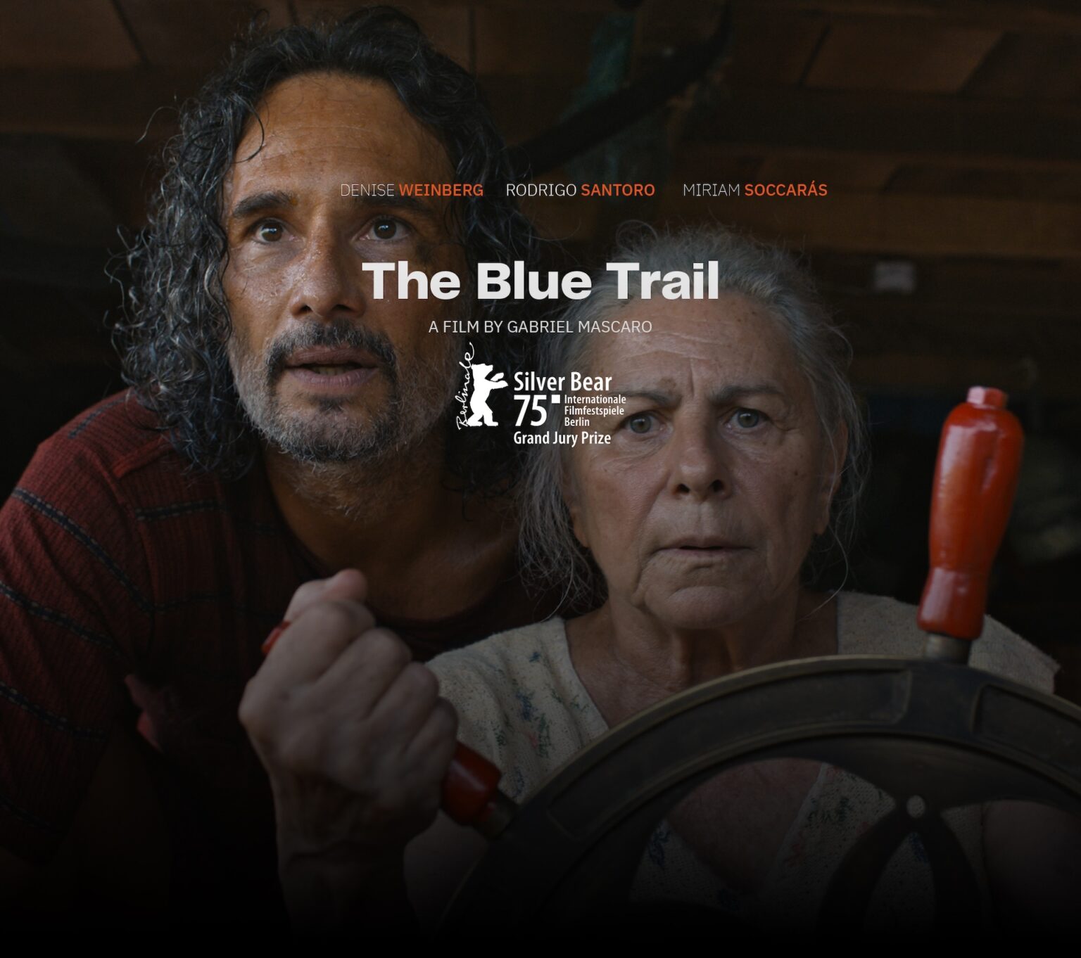 TheBlueTrailSilverBear